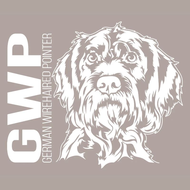 German Wirehaired Pointer Portrait Jagdhund Hunde