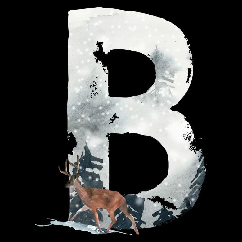 B – dekoratives Schriftzeichen – Winter