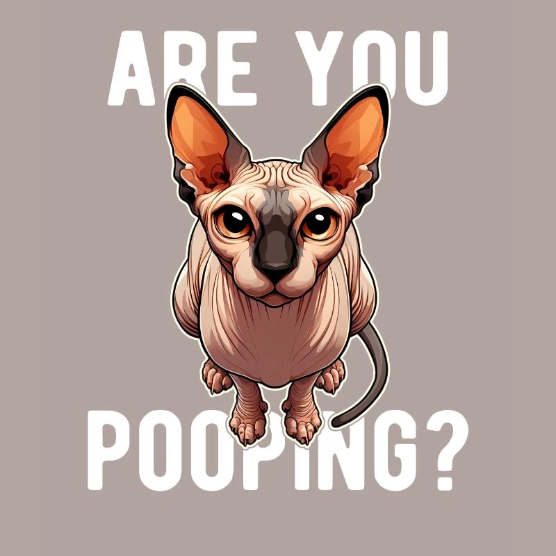 Est-ce que tu fais caca ? Drôle de chat Sphynx
