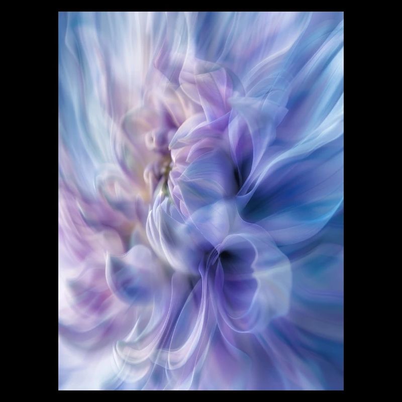 Affiche ICM Flower 1