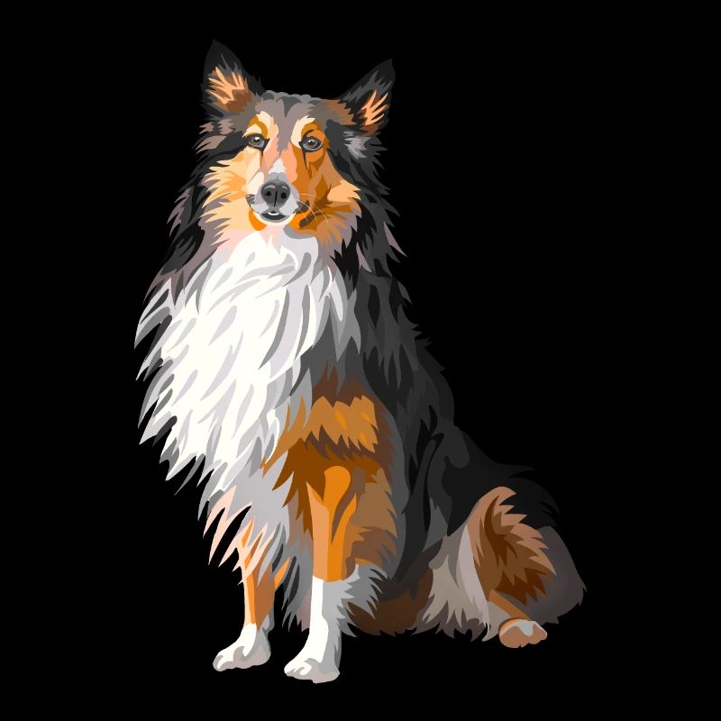 chien shetland