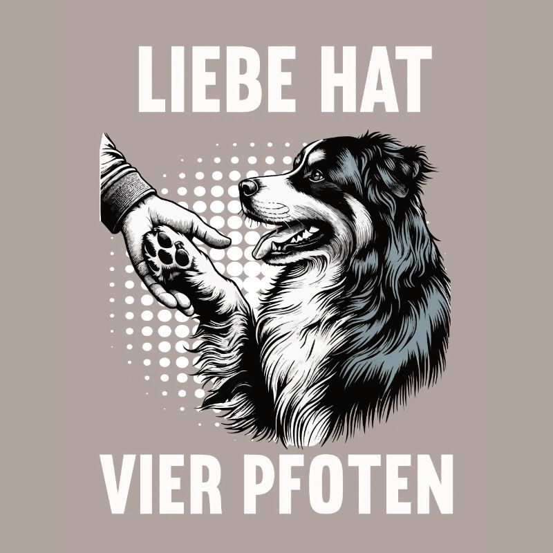 Liebe hat Vier Pfoten Australian Shepherd Aussie