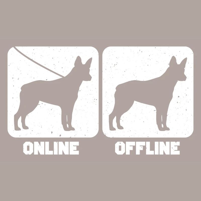 Australian Stumpy Tail Cattle Dog