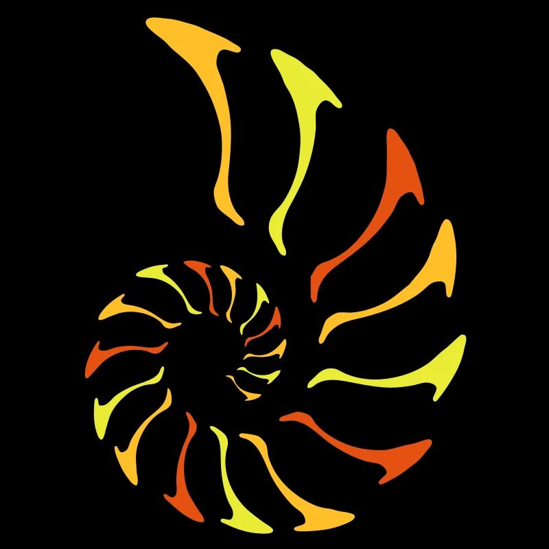 nautilus fibonacci