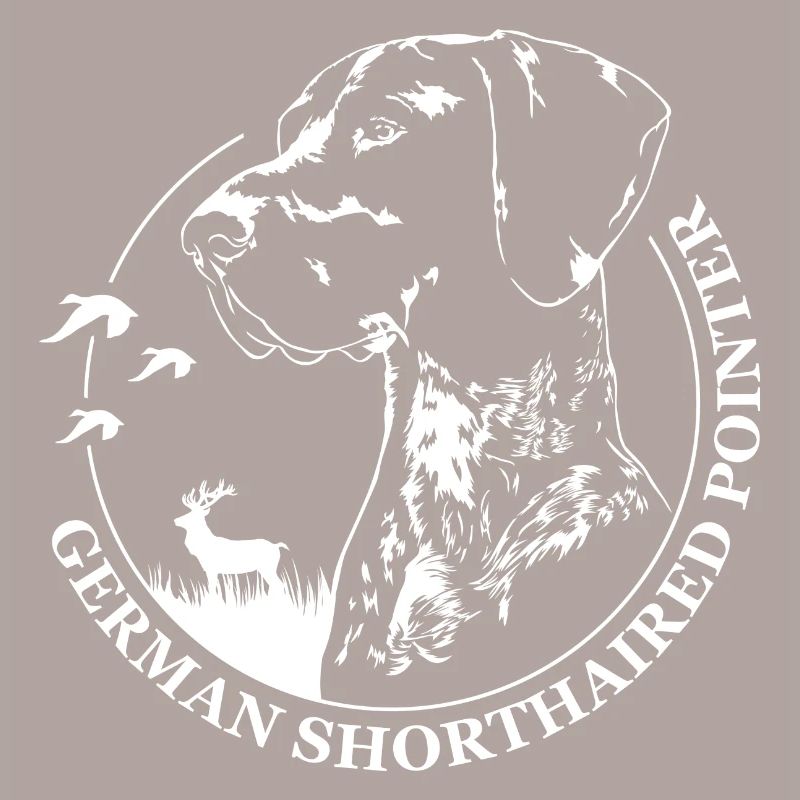 GERMAN SHORTHAIRED POINTER Hund Wilsigns Jagdhunde