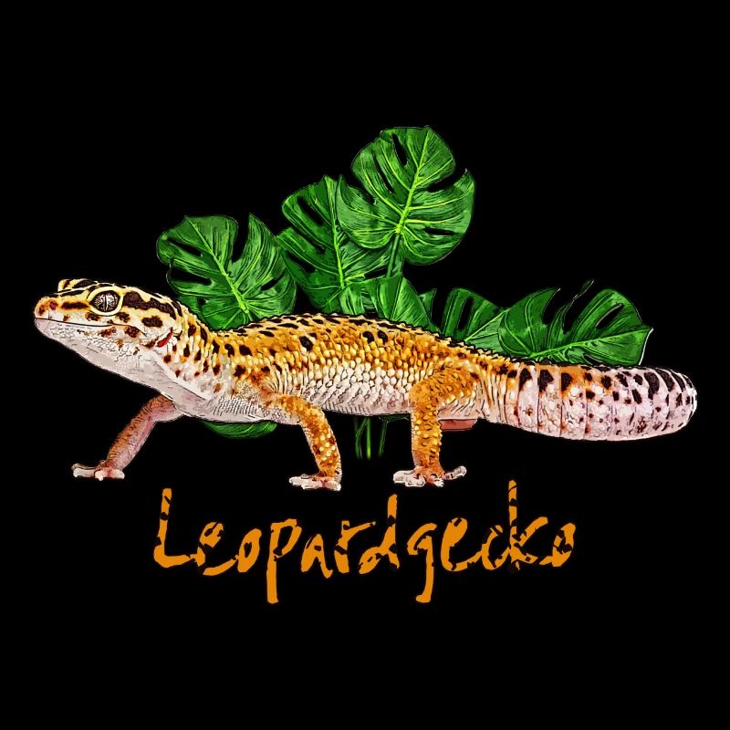 Gecko léopard