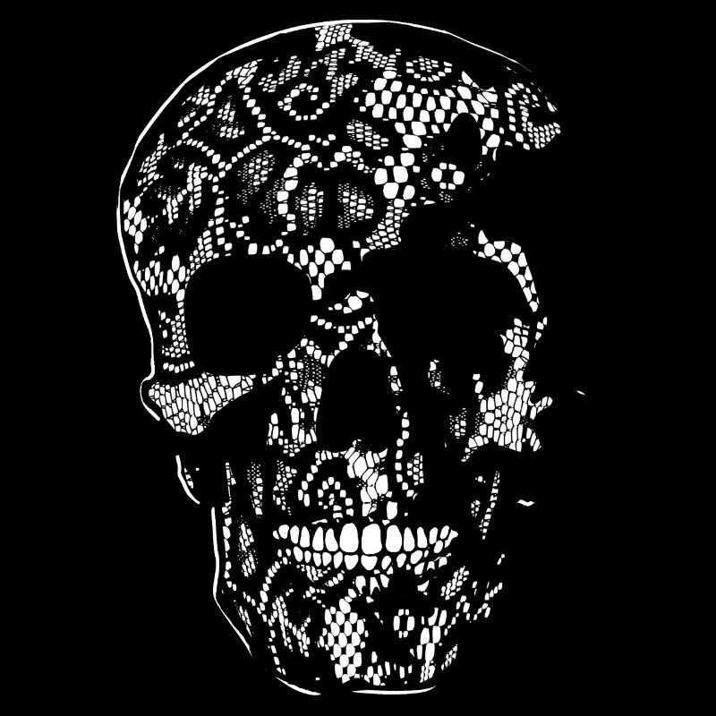 Skull Covered With Lace - white
