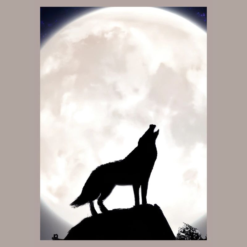 Wolf bei Nacht