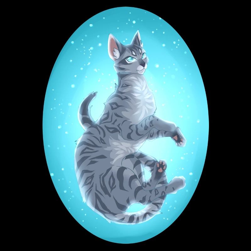 Jayfeather Häherfeder Graue Katze Warrior Cats