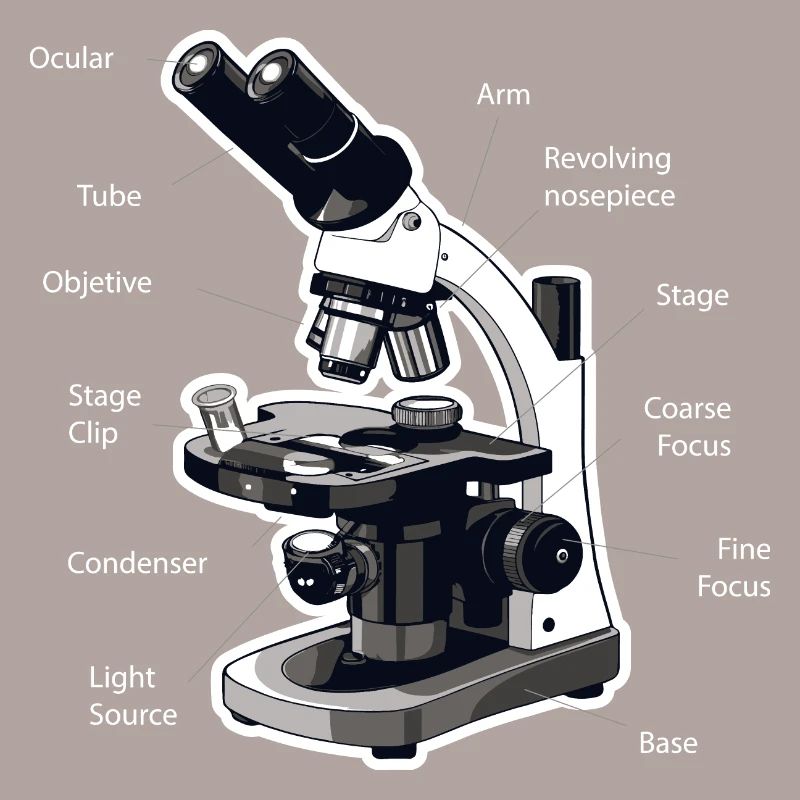Anatomie eines Mikroskops mtla labor design