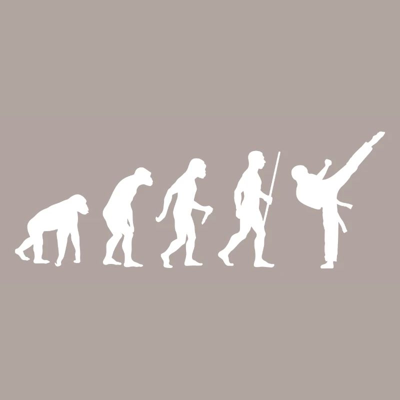 Martial Arts Karate Evolution Gift Idea 005-096