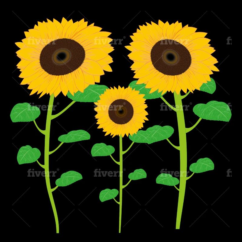 Sonnenblumen-Sammlung
