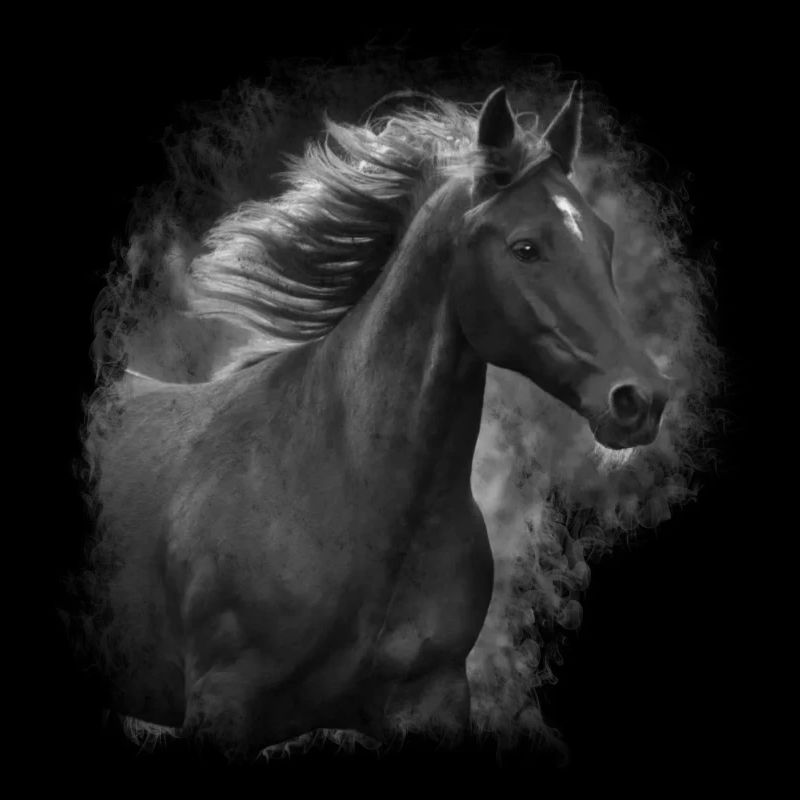 Motif chevaux