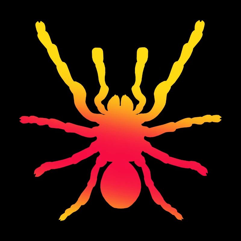 Araignée, arachnide