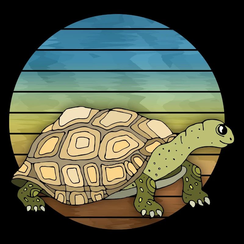 Schildkröte