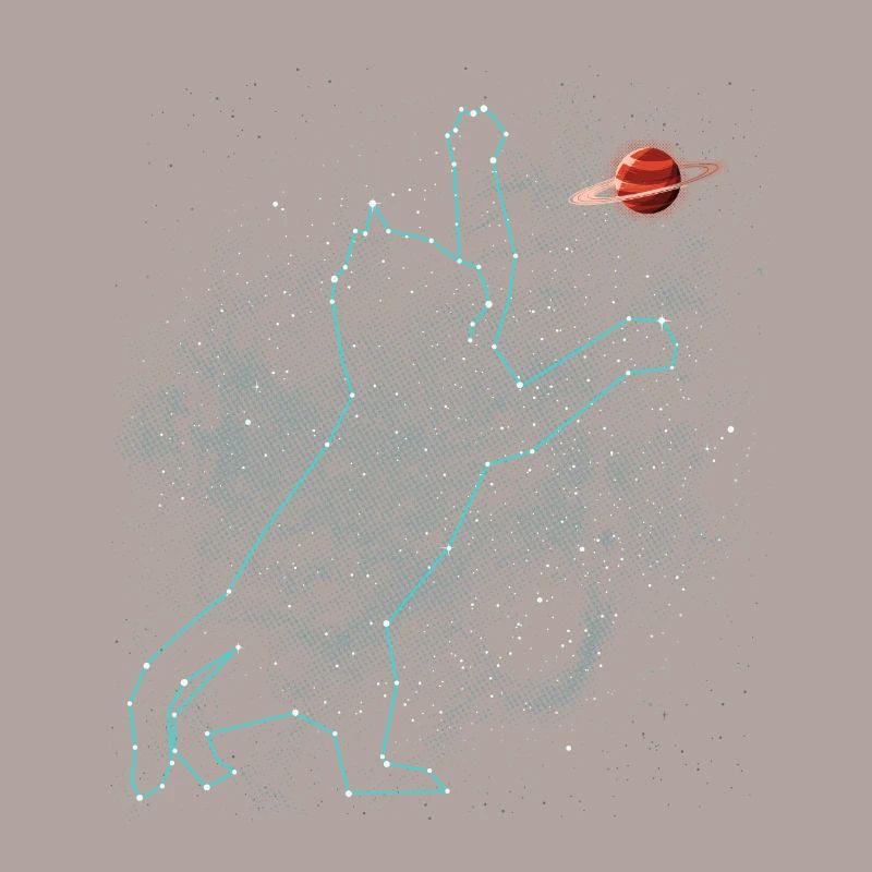 Constellation du chat