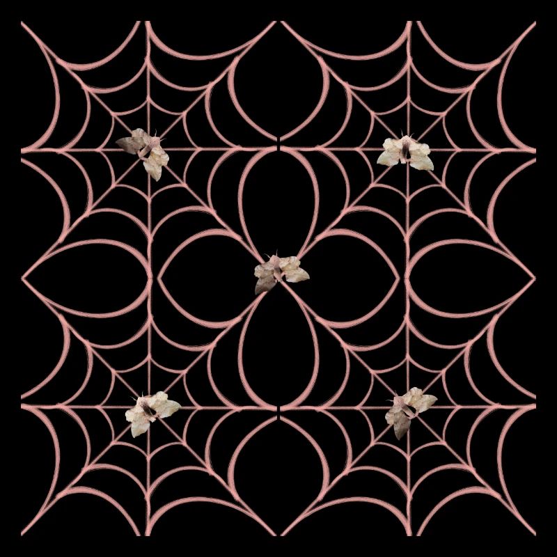 Toile d’araignée ByRino