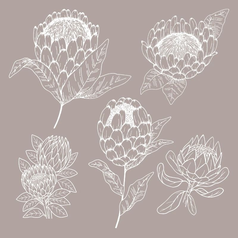 Groupe de fleurs protea