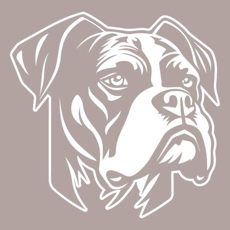 Races de chiens boxers