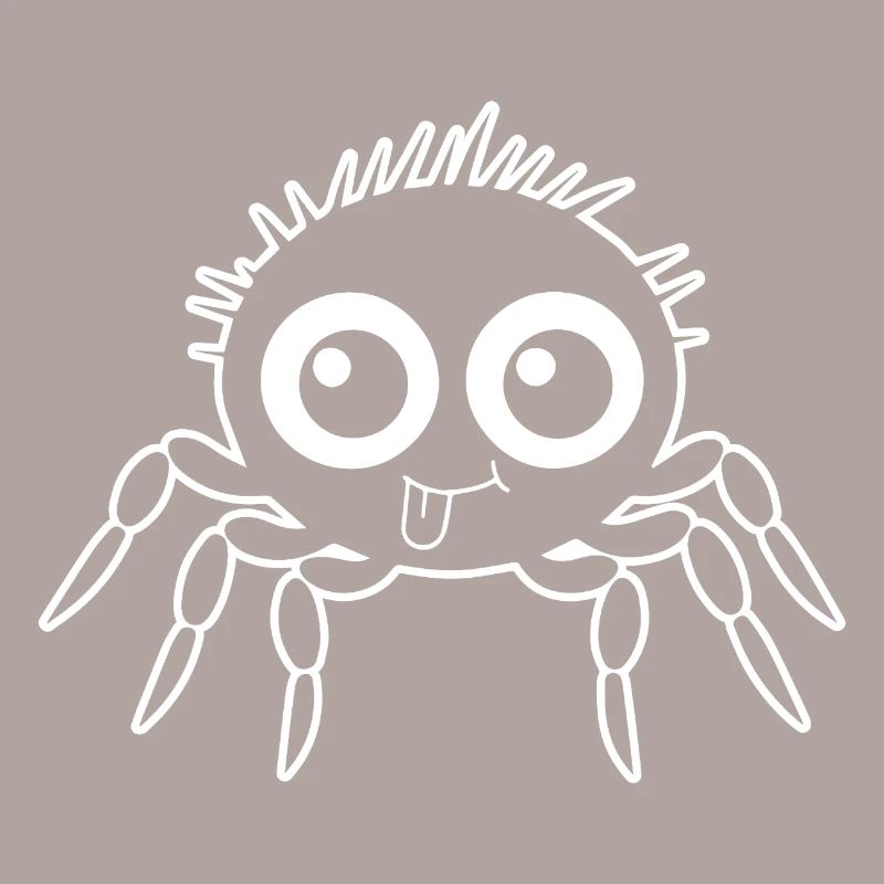 Spider spiders animals