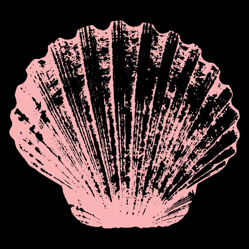 Jakobsmuschel