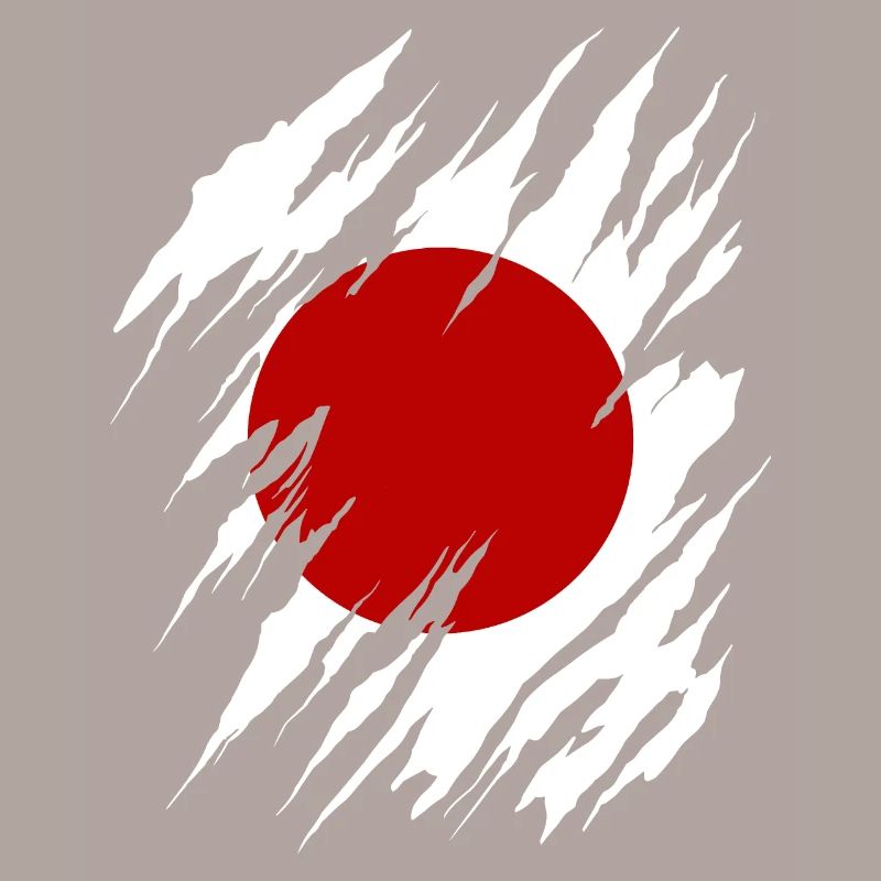 Drapeau du Japon utilisé Look Nihon drapeau japonais