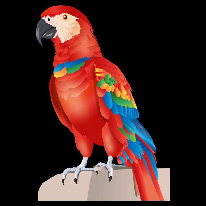 Macaw