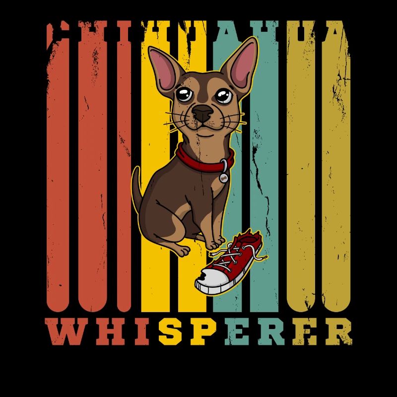 Flüsterer Chihuahua Hund
