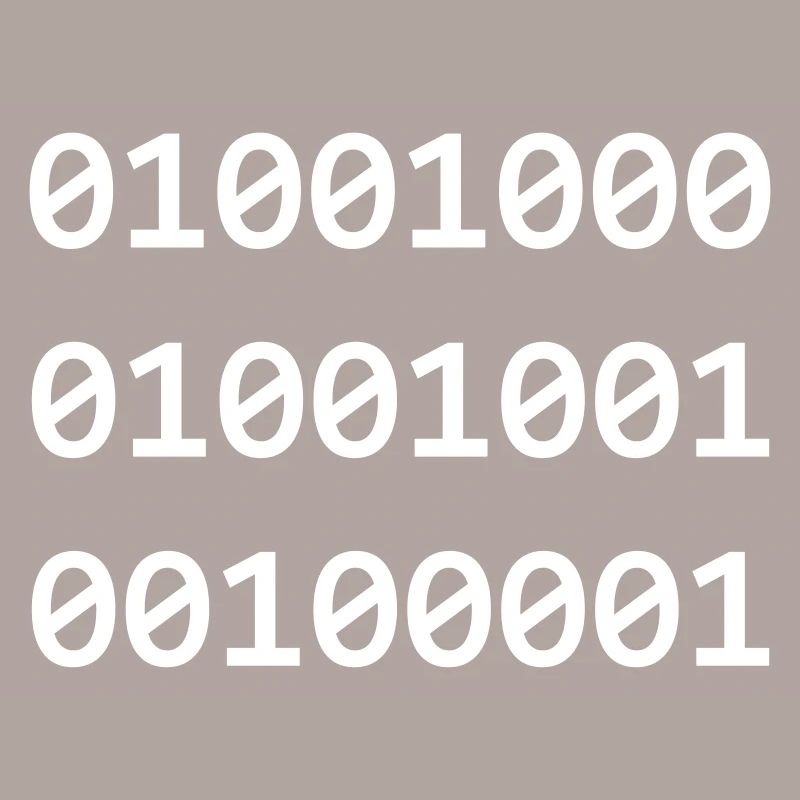 Hi Binary programmeurs se salue ainsi