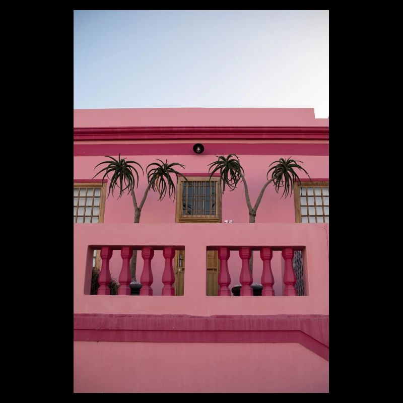 Pink House
