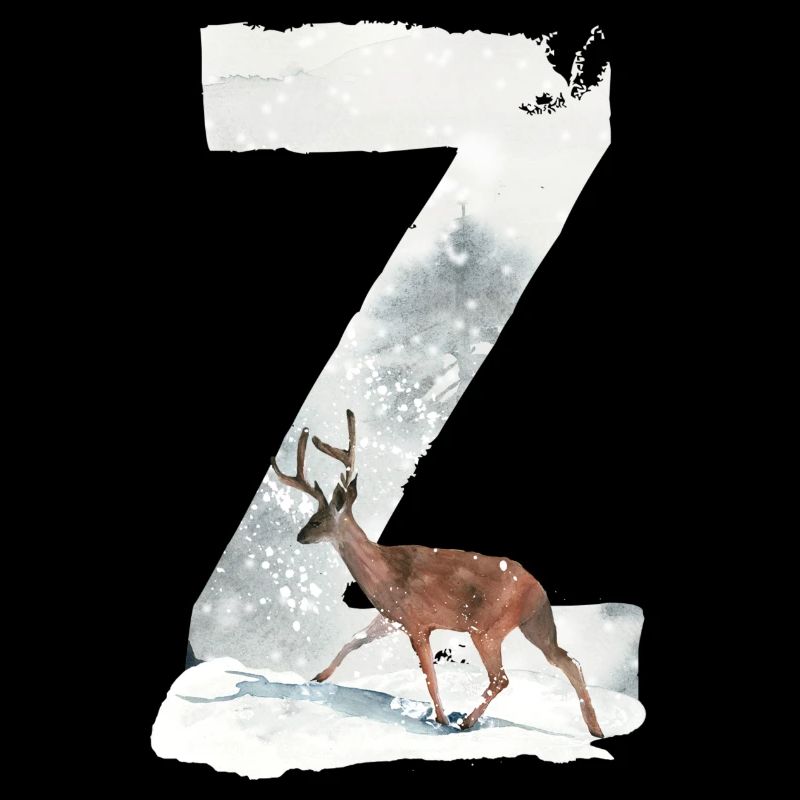 Z – dekoratives Schriftzeichen – Winter