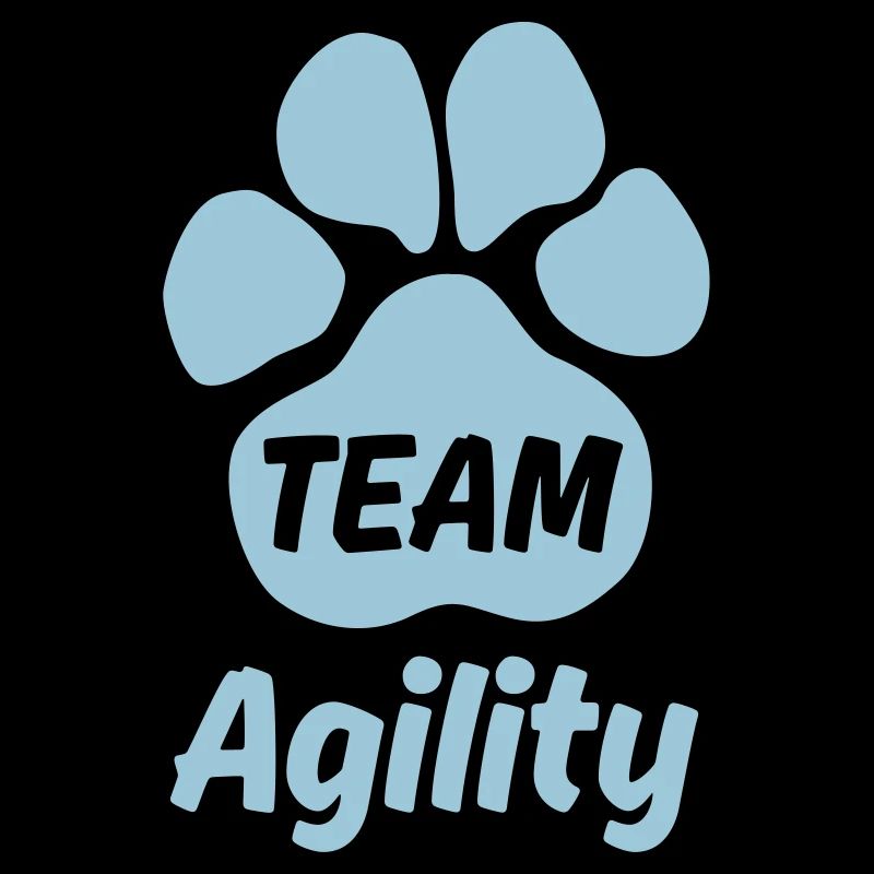 Team Agility