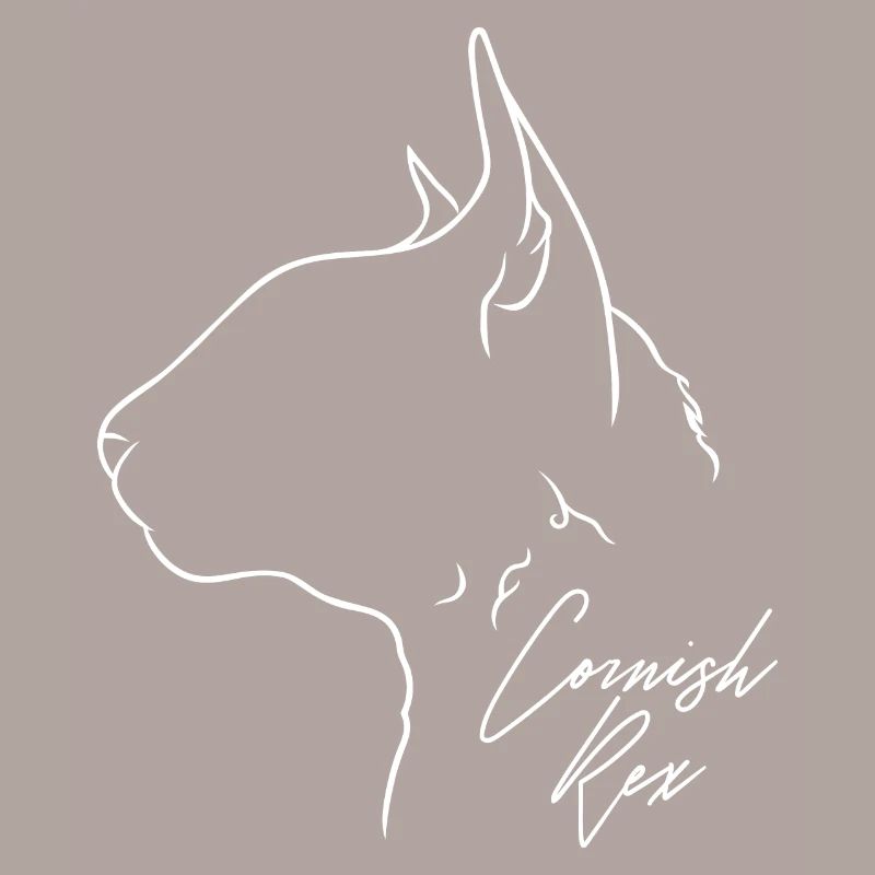 Cornish Rex Profil Chat Cat Wilsigns