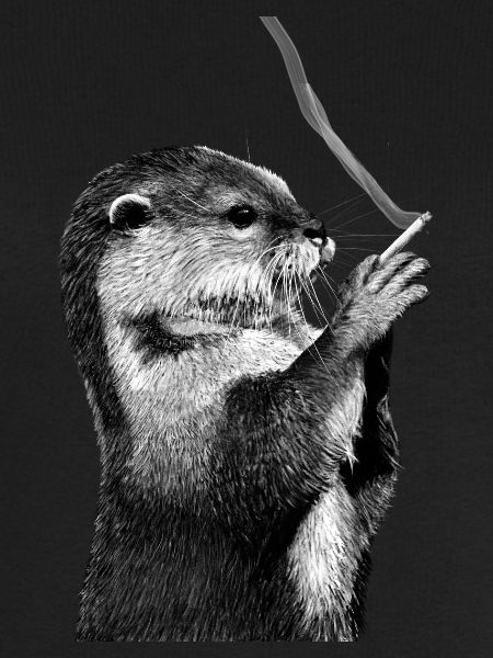Otter