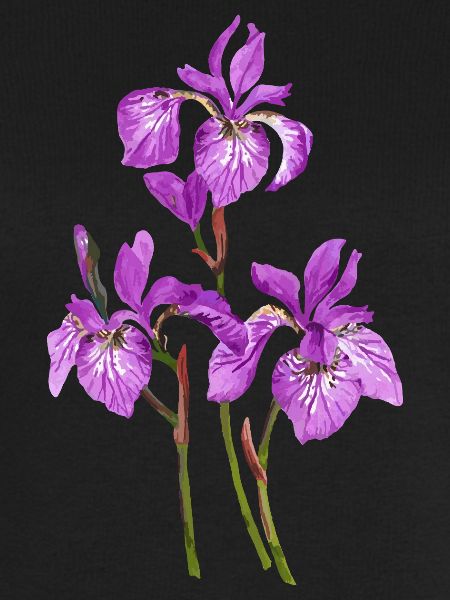 Blumen