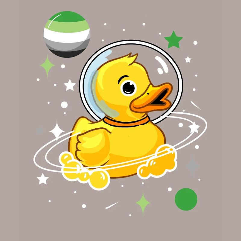Canard Astronaute Aromantic Pride