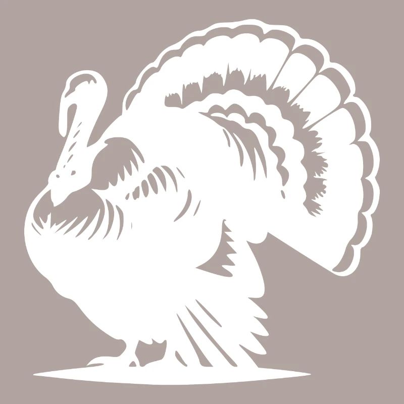 Drôle de volaille, dinde, plumage énorme