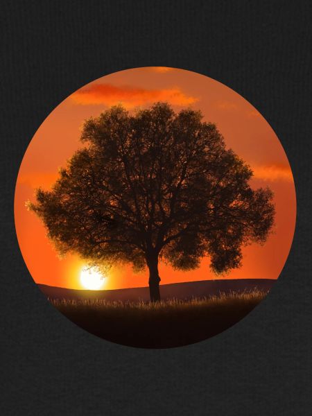Baum