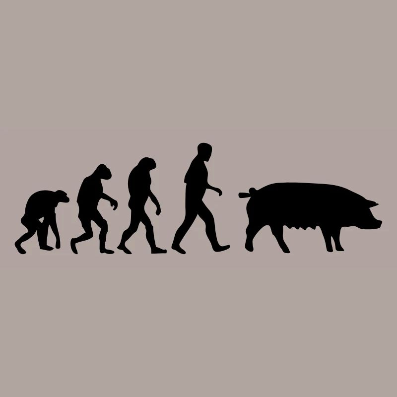 pig evolution