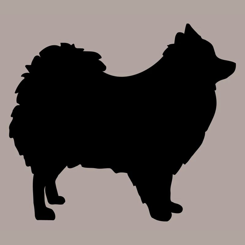 Spitz