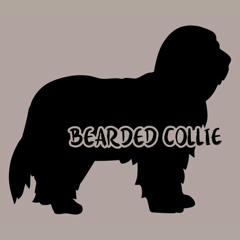 Bearded Collie