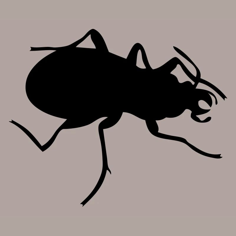 Käfer