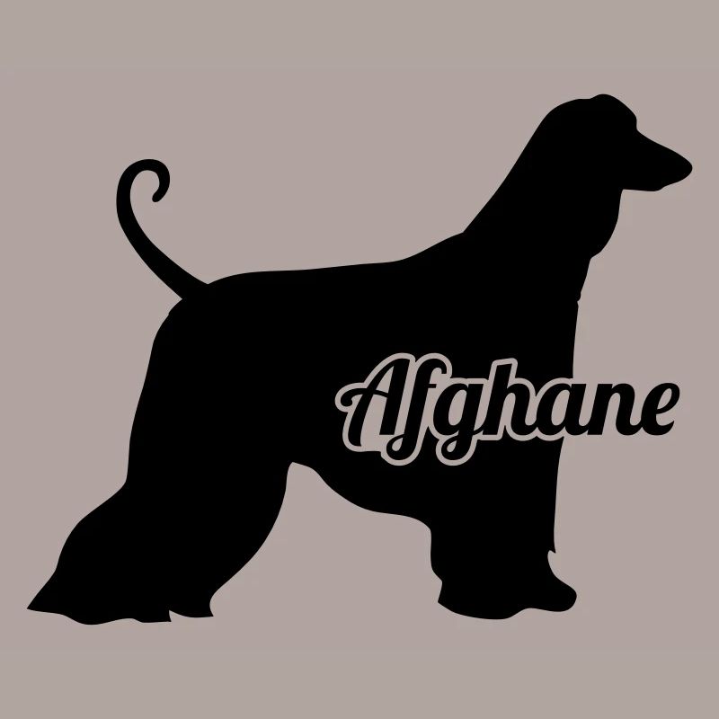 Afghanischer Windhund