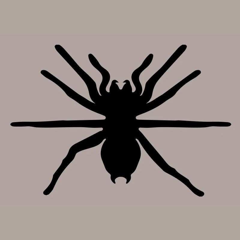 spinne
