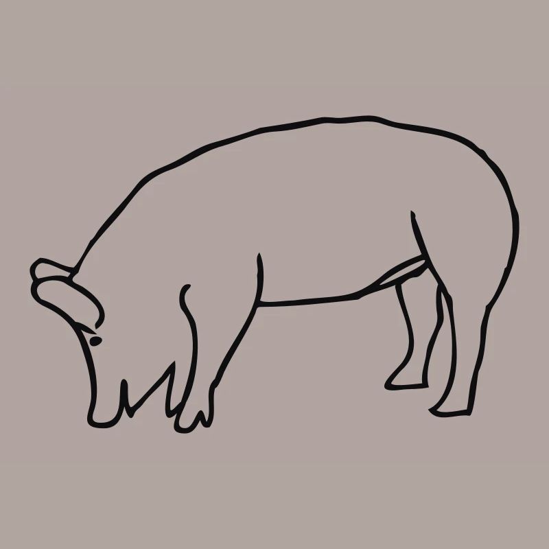 schwein
