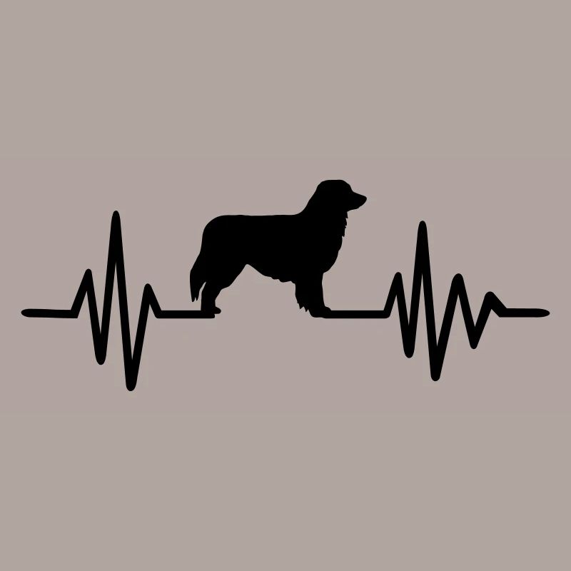 Australian Shepherd