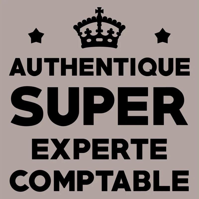 Expert Comptable / Comptabilité / Comptable /