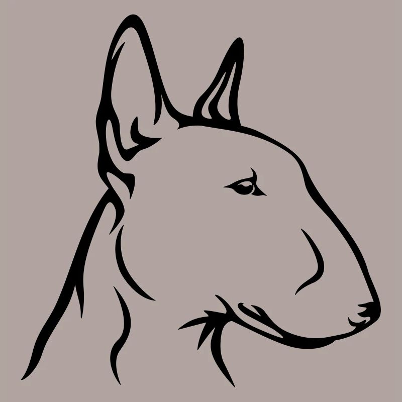 Bullterrrier