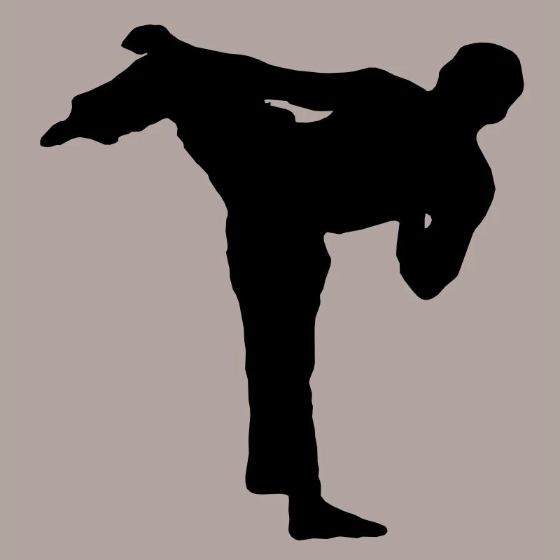 karate_fighter