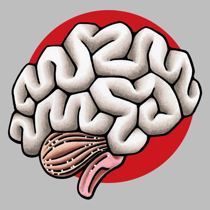 Gehirn Hirn Brain